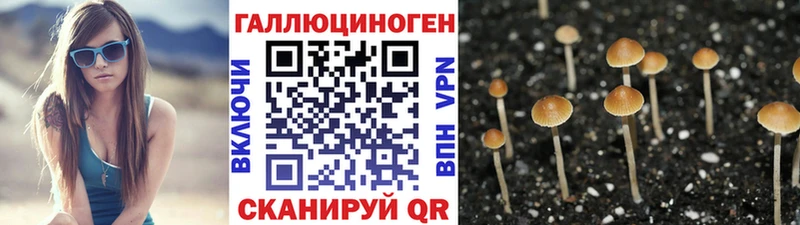 Галлюциногенные грибы MAGIC MUSHROOMS  Купить  Нестеров 